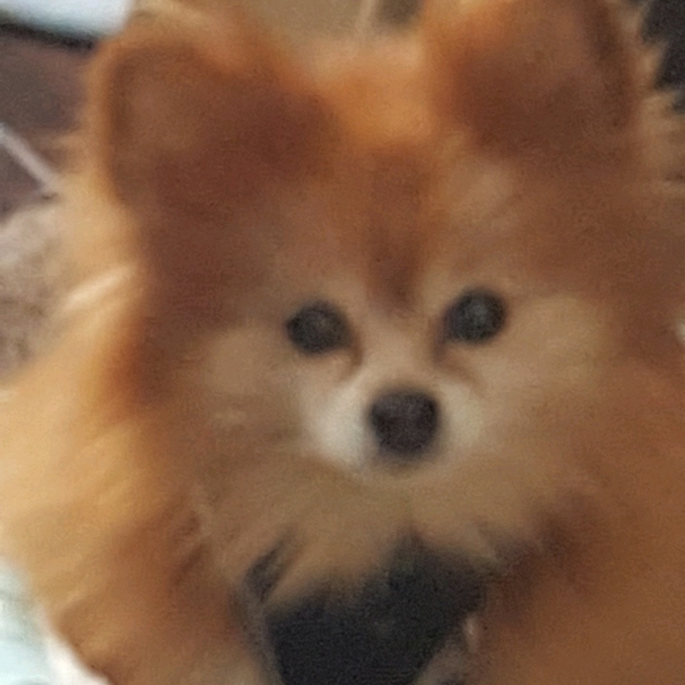 Meet your Posher, Sara